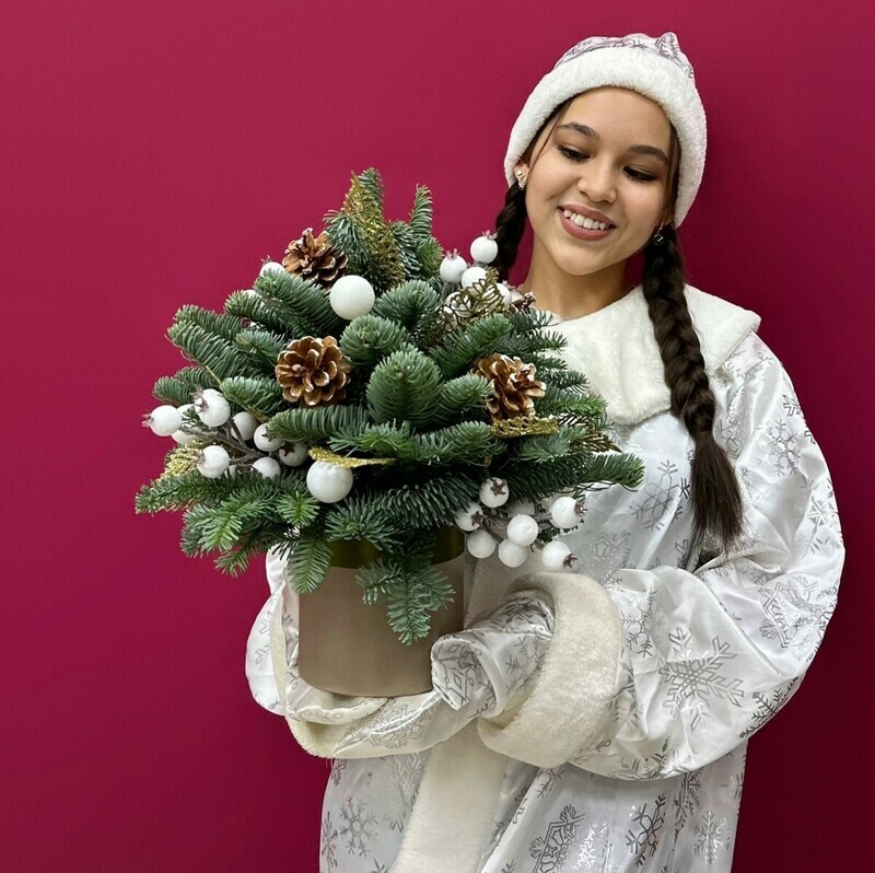 Новогодняя сказка, стандартный