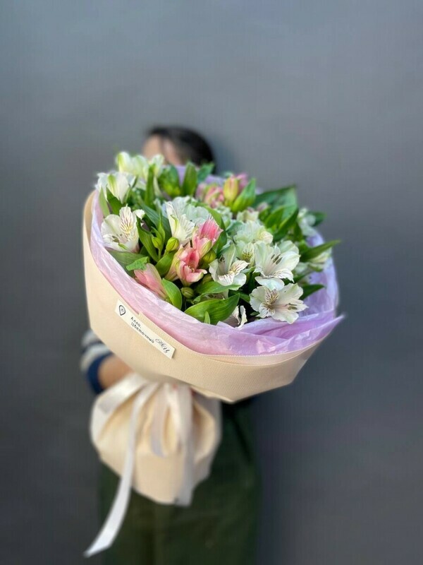 Sochnie al_stromerii, sochnie al_stromerii