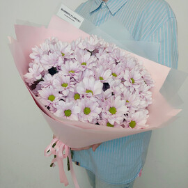 Букет из розовой хризантемы 