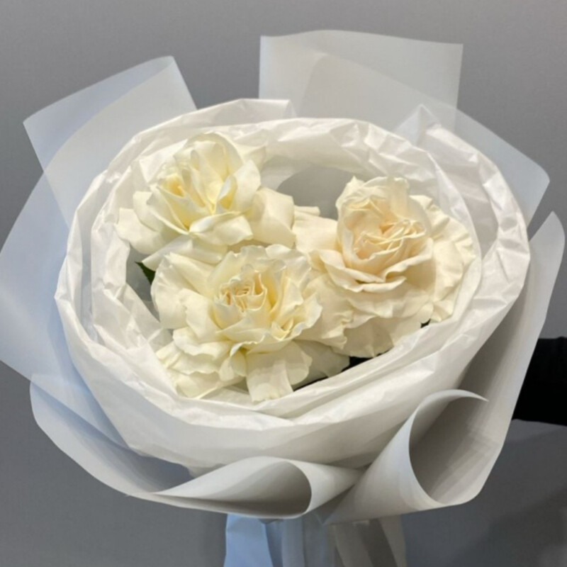 Нежный букет комплимент белая французская роза, нежный букет комплимент белая французская роза