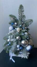 Зимние просторы