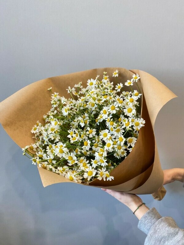 Нежные ромашки, нежные ромашки