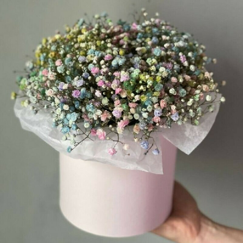 Коробка с гипсофилой, стандартный