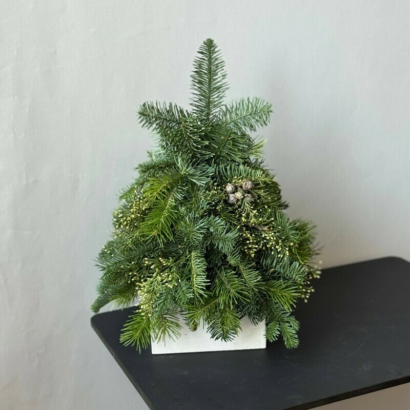 Naryadi menya, standart