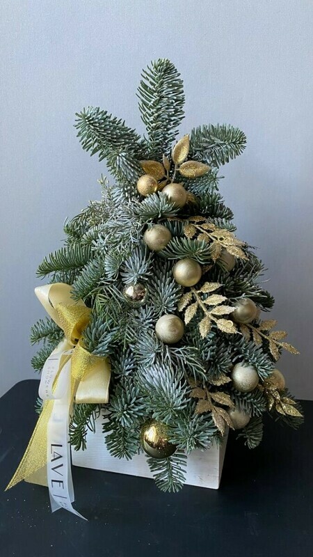 YOlka — zolotie shishki, standart