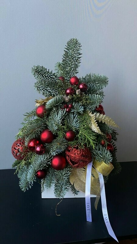 Lesnaya krasavitca, standart