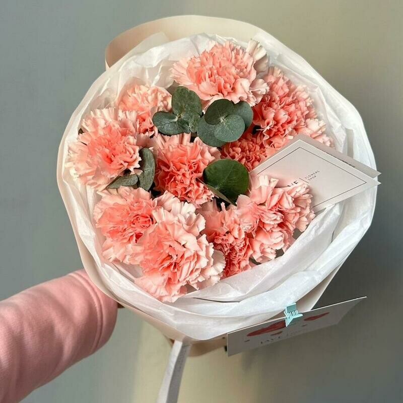 Диантус розовый 11, диантус розовый 11