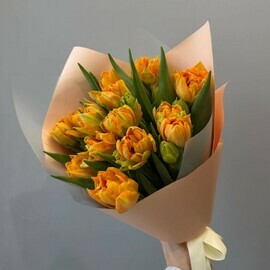 Тюльпаны оранжевые 15