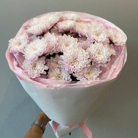 Хризантема розовая  