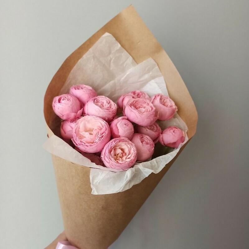 Пионовидная кустовая роза Silva Pink, пионовидная кустовая роза silva pink