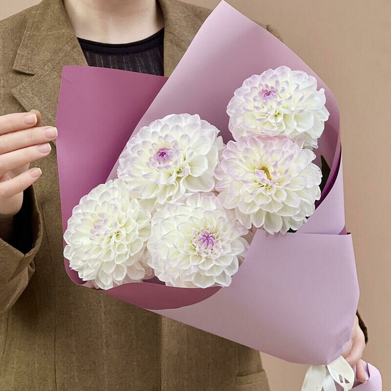 5 svezhih georgin v bukete, standart