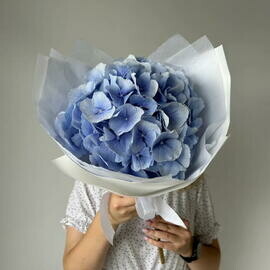 Букет с голландской голубой гортензией 