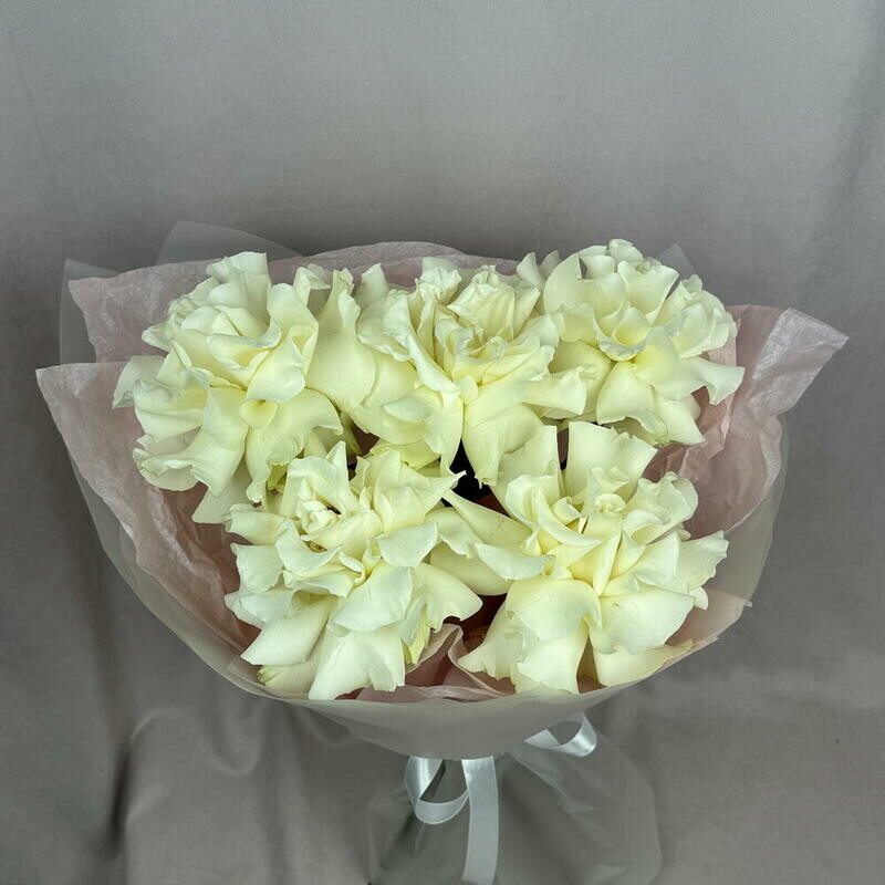 5 французских роз по акции , стандартный