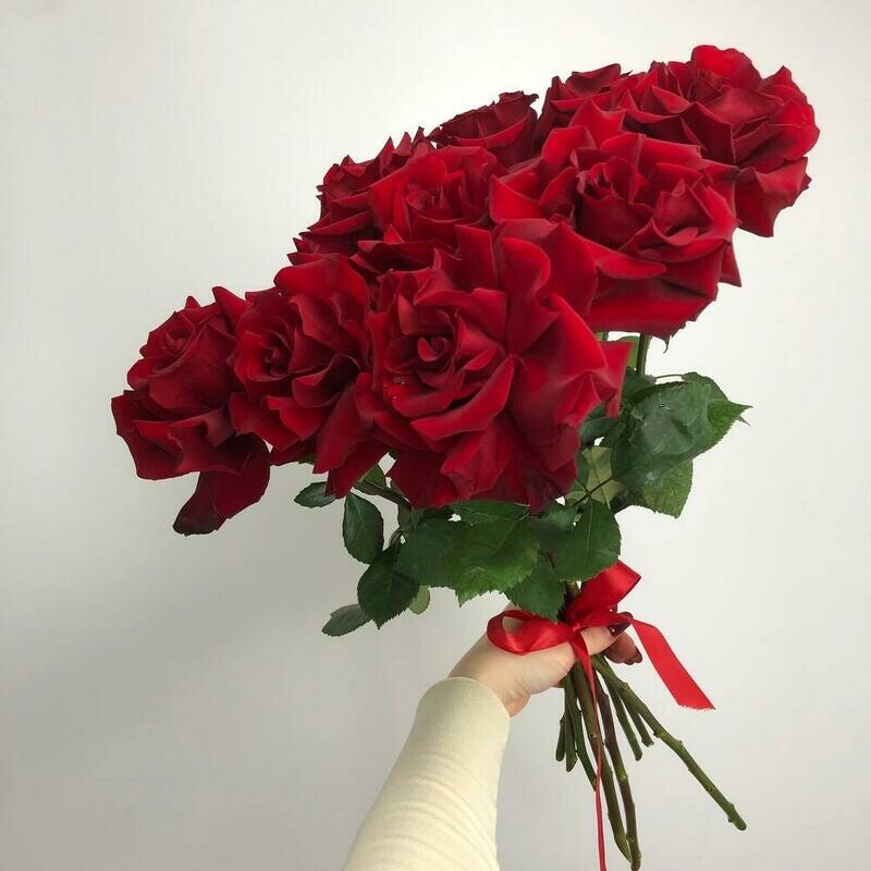 Монобукет Красные французские розы под ленту,9 штук , стандартный