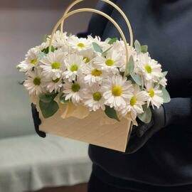 "Radost_ leta" hrizantemi romashki v sumochke