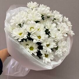 Букет хризантемы 