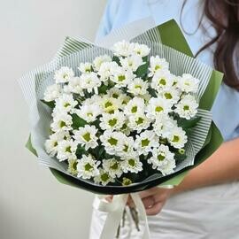 Floristicheskaya gubka (oazis)