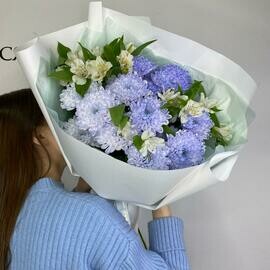 Sirenevie hrizantemi s beloj al_stromeriej