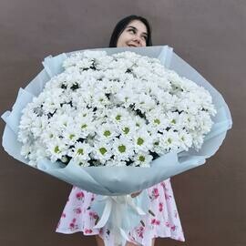 Buket-gigant iz romashkovih hrizantem