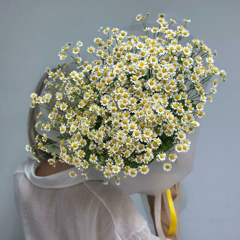 Romashka dlya lyubimoj, standart