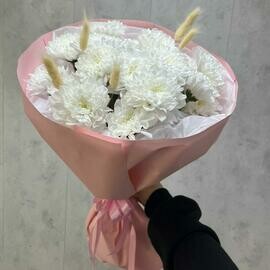 Букет из кустовых хризантем Алтай +лагурус 