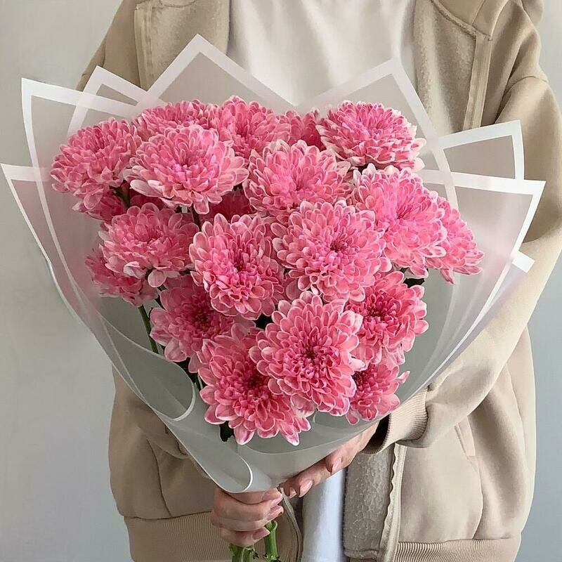 Malinovij buket  kustovaya hrizantema, standart