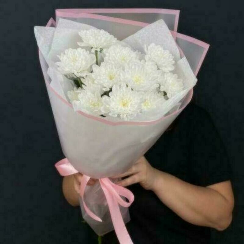 Hrizantema Altaj 3 sht, standart