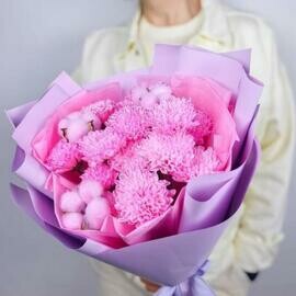 Rozovaya Hrizantema s Hlopkom, 3 sht