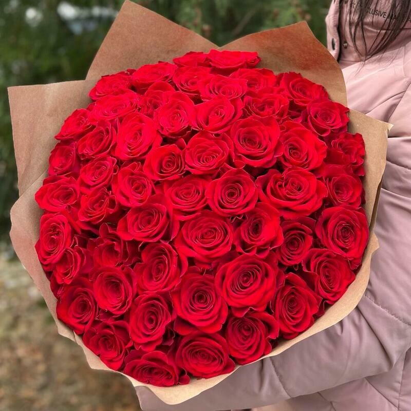 51 роза Эквадор красная , стандартный