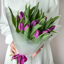 Buket iz fioletovih tyul_panov 15sht