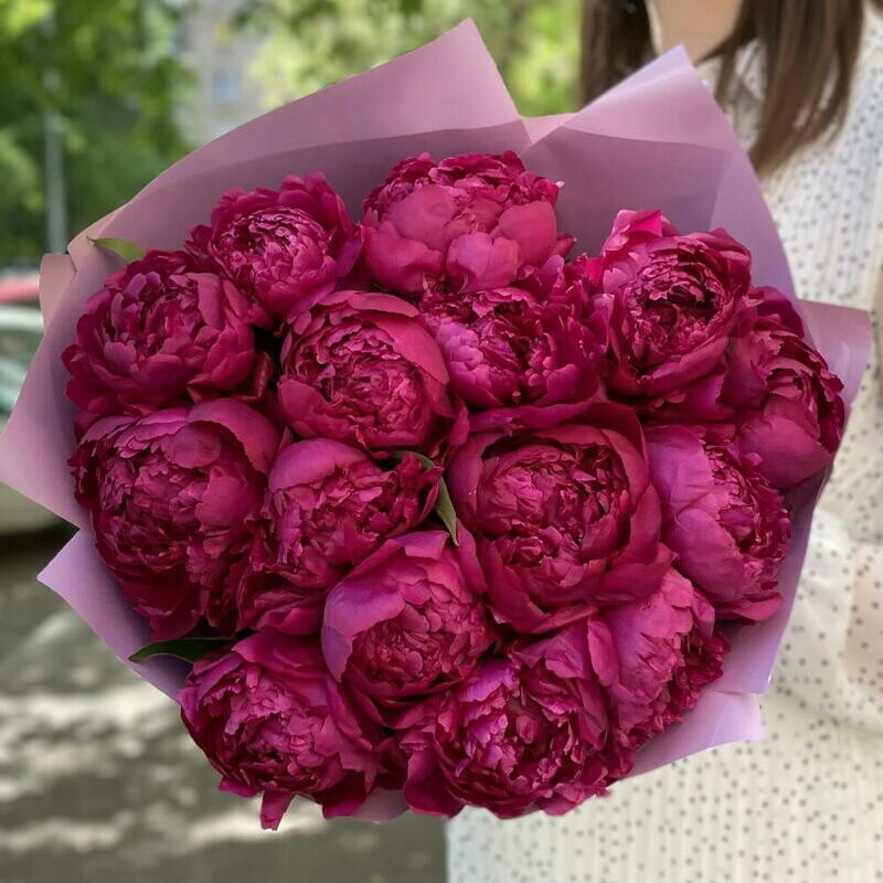 Букет с малиновыми пионами 15 шт , стандартный