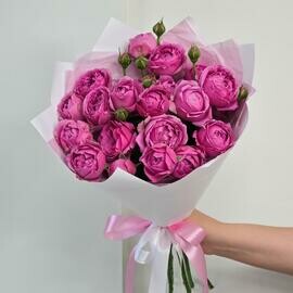 Misti Bablz  pionovidnaya kustovaya roza, 50 sm