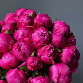 Buket iz malinovih pionov