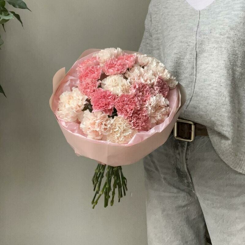 Розовые диантусы , стандартный