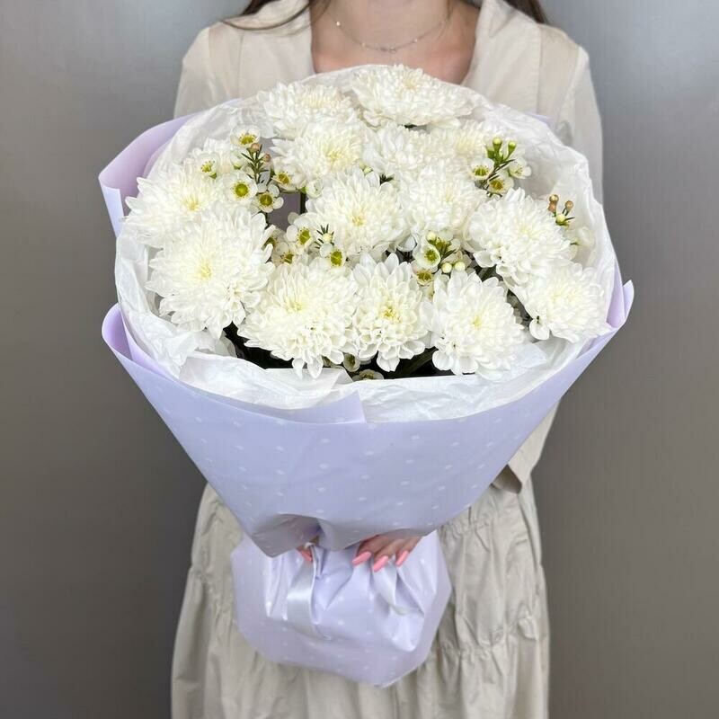 Buket s hrizantemoj i hamelatciumom, standart