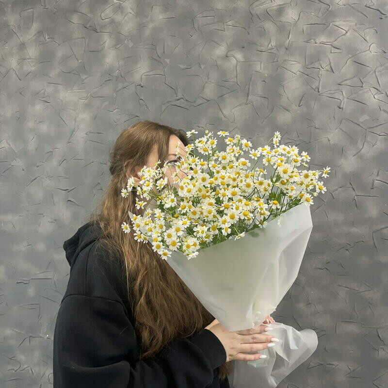 Ромашки, стандартный