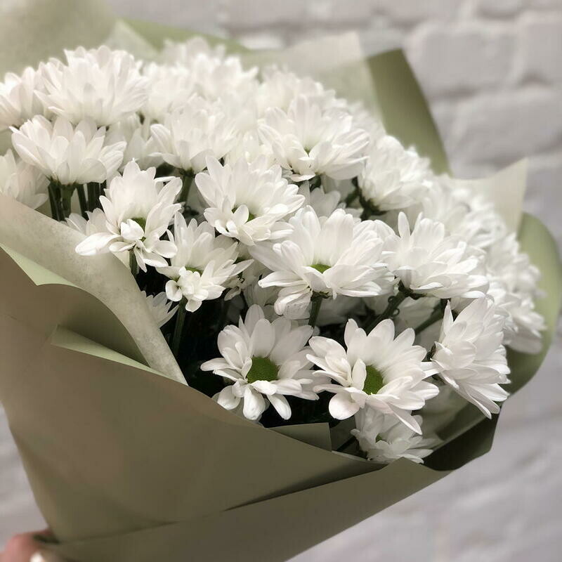 Buket iz kustovih hrizantem Kennedi 5 sht, standart