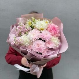 Hrizantema, roza, al_stromeriya