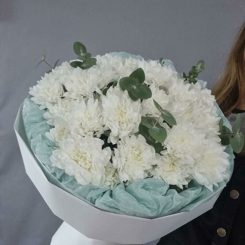 Hrizantemi s evkaliptom Ocharovanie, standart