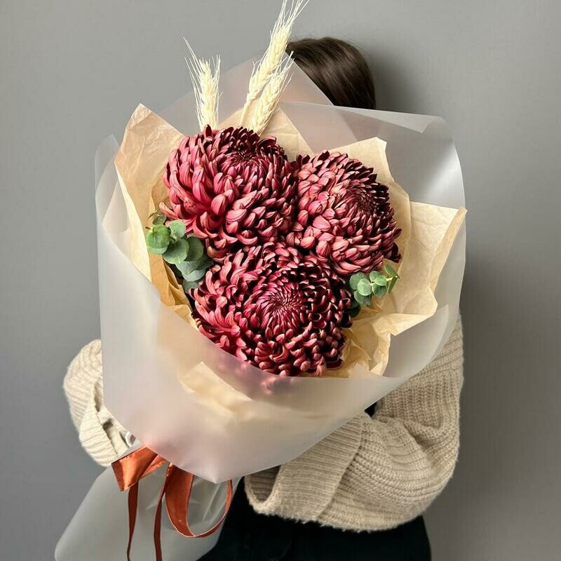 Букет из шикарных хризантем - шоколад , стандартный