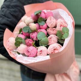 Buket miks pion rozi s evkaliptom