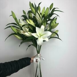 Buket iz belij lilij pod lentu,5sht