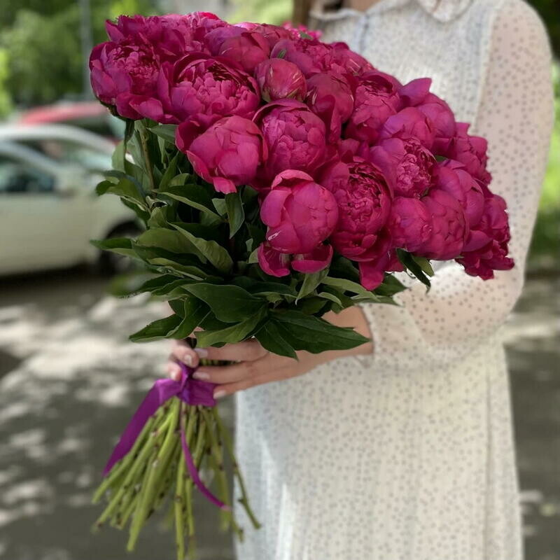 Букет из пионов 51 шт, стандартный