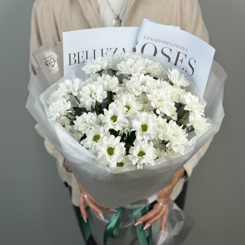 Buket iz 5 kustovih hrizantem, standart