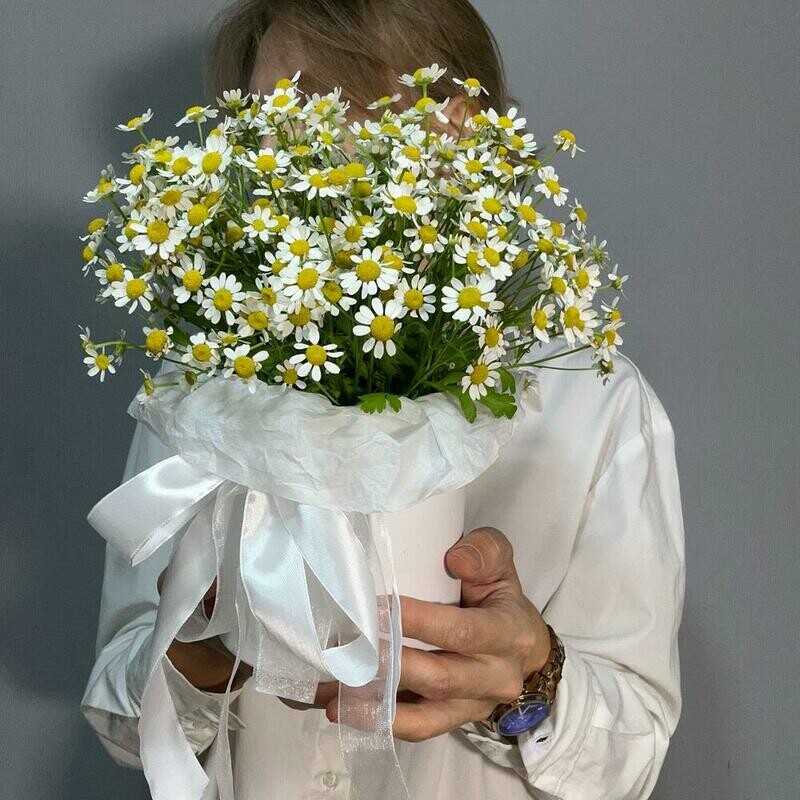 Kompozitciya s romashkami (matrikariya) belogo tcveta, standart