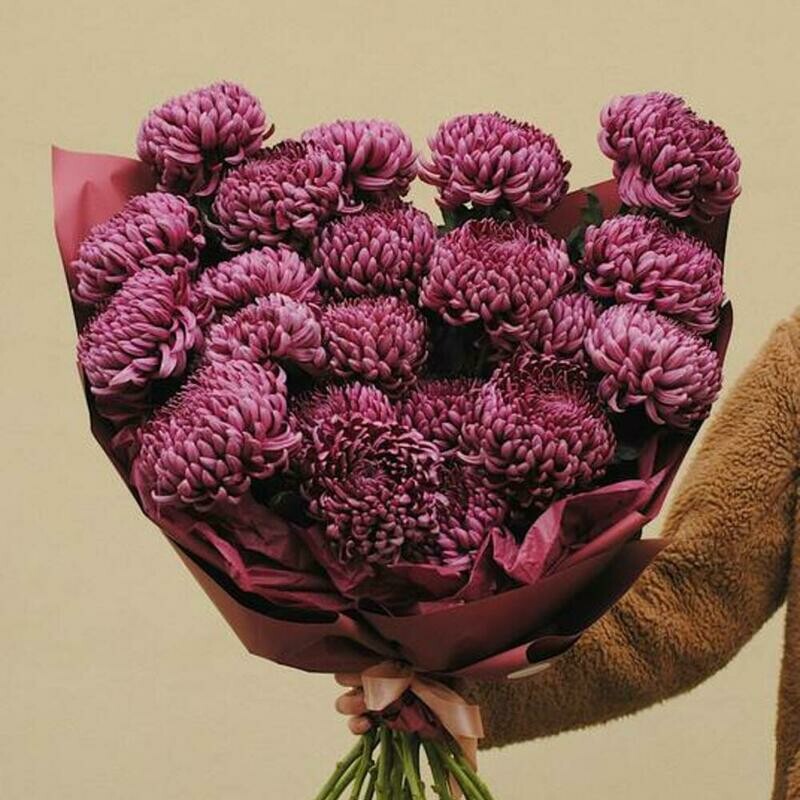 Букет из хризантем бигуди , стандартный