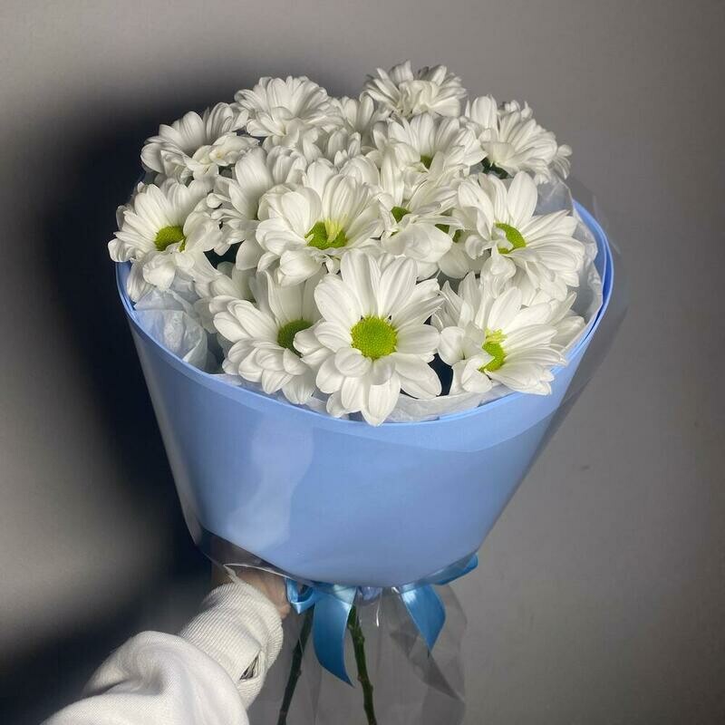 Buket belih hrizantem v upakovke, standart