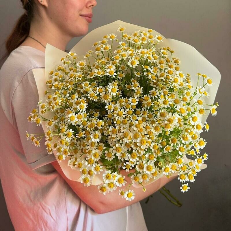 Полевой букет. Ромашки танацетум , стандартный