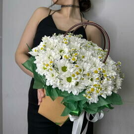 Sumochka s romashkami i kustovoj hrizantemoj