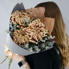 Hrizantemi Viena s evkaliptom